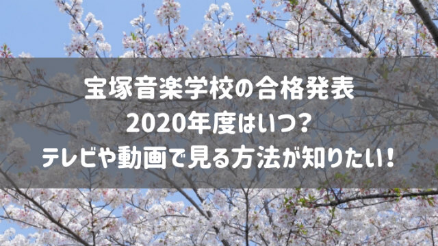 宝塚音楽学校の合格発表2020年度はいつ？テレビや動画で見る方法が知りたい！